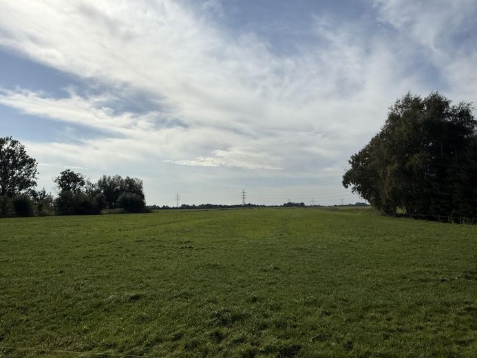 angrenzende Wiese