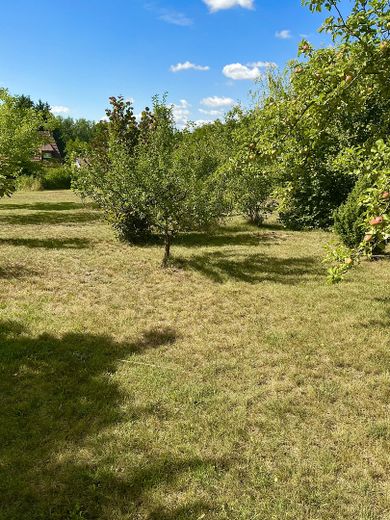 traumhaftes Bauland am Naturschutzgebiet – Foto 9