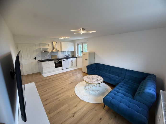 Wohnzimmer / Küche