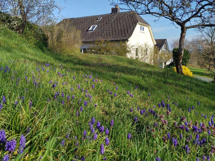 Idyllisch Wohnen mit freiem Blick ins Grüne – Garten im Frühling
