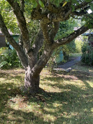 Freizeit Grundstück – Foto 2
