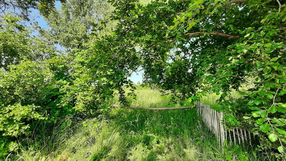 Ostsee - Boddenküste - Wasserblick - Baugrundstück - Ribnitz-Damgarten – Foto 6