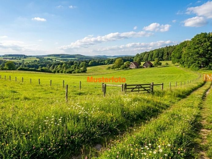 IMMORath.de - Weitläufige Wiesenfläche mit ca. 1 ha – Foto 1