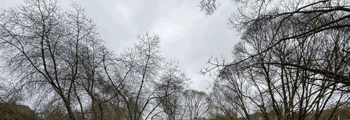 RUHIGES WOHNEN IM NEUBAUGEBIET OBERBETTINGEN