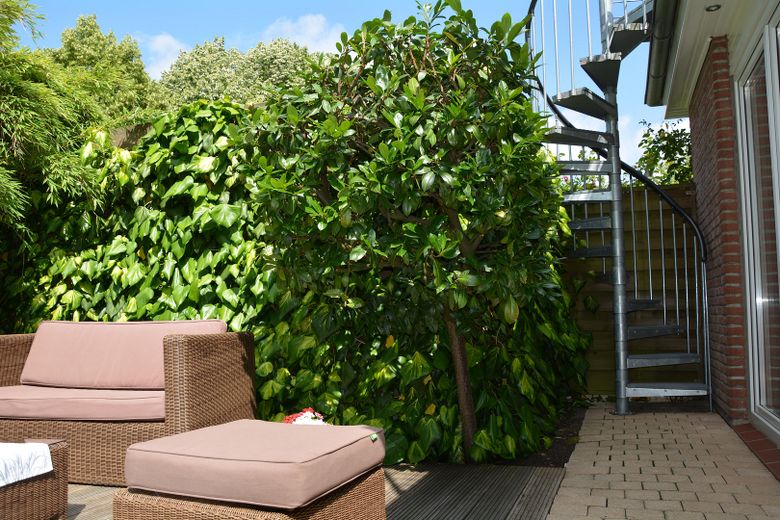 Wendeltreppe zur Dachterrasse