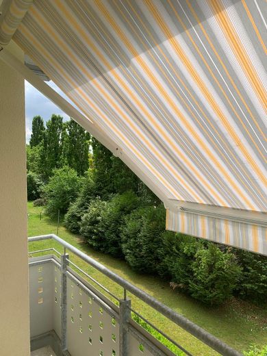 Blick in den Garten
