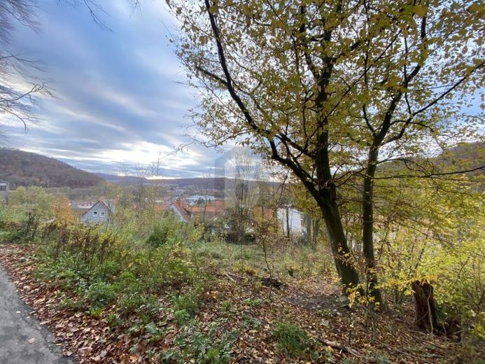 IHR RÜCKZUGSORT: 960 M² INMITTEN DER NATUR – Foto 1