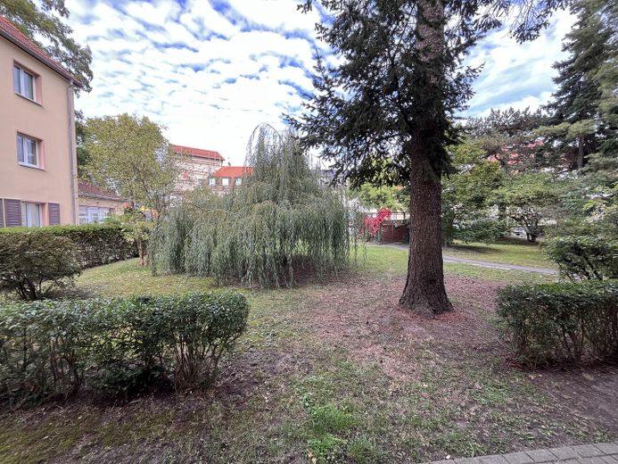 aufgeteiltes Mehrfamilienhaus in guter Wohnlage – Foto 11