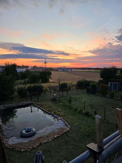 Feldrandlage mit Sundowner