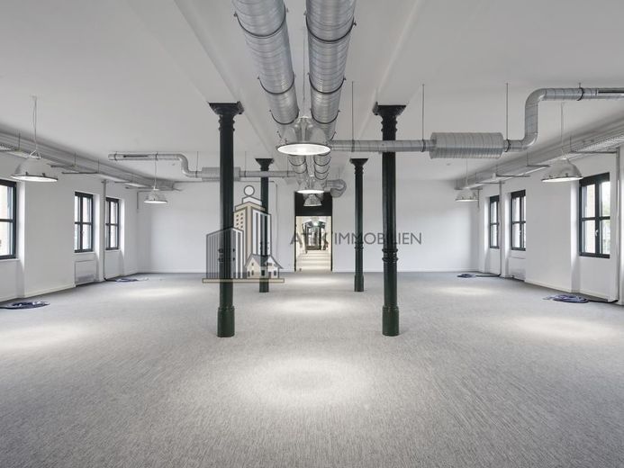 ATIK: Loft-Charakter mit moderner Flächengestaltung im Turbinenwerk, Haus Ampère - provisionsfrei – Preview