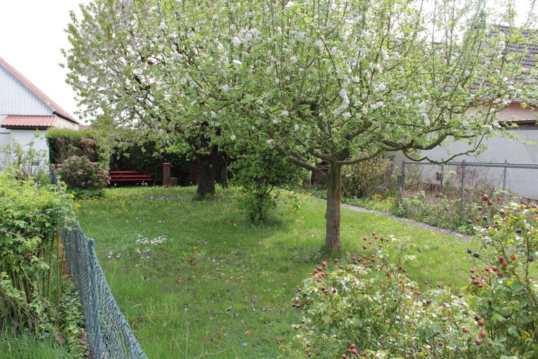 Pflanz- und Obstgarten
