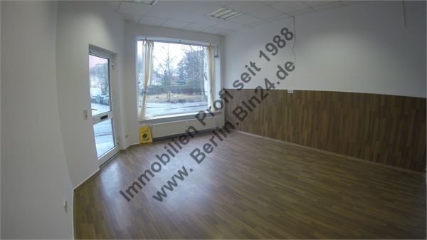 GP --- 31.01.2017 318