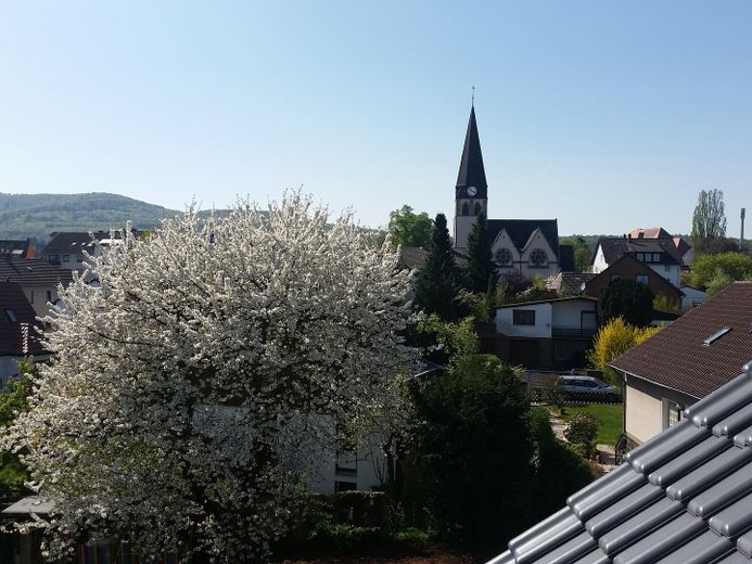 Traumhafte Dachgeschosswohung mit Blick zum Herkules – Kirschbaumblüte vom Spitzboden