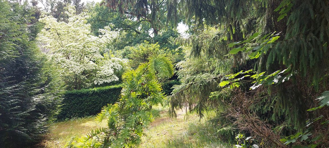 Gartenbereich neben Terrasse