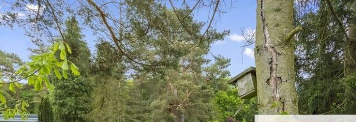 IMMOBERLIN.DE - Beautiful natural building plot in a fabulous location near Wandlitz Lake