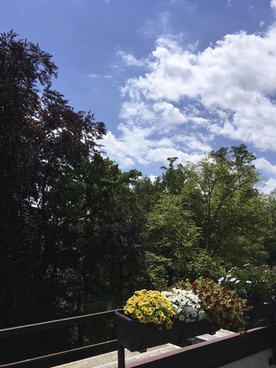 Am Klostergarten: Stadtjuwel in Landshut, Dachgeschoss, absolut ruhig, sonnig, Blick ins Grüne, zentral – Foto 12