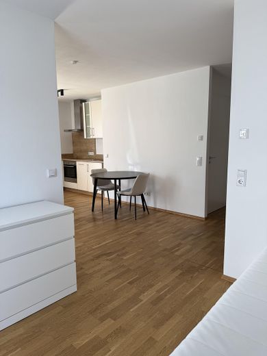 Moderne, vollmöblierte 1,5-Zimmer-Wohnung mit Stellplatz zu vermieten – ab sofort verfügbar – Blick vom Schlafzimmer