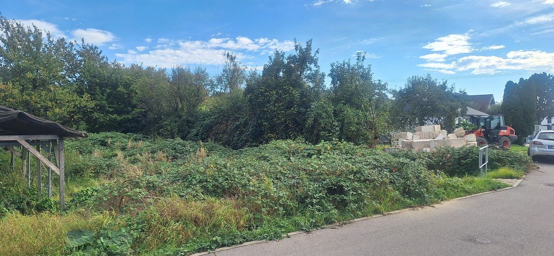 Grundstück mit Bäumen