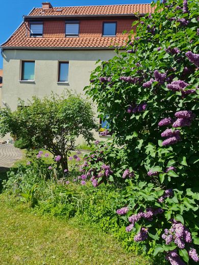 Stadthaus inmitten von Barth super zentral - dennoch ruhig - einfach unschlagbar – Gartenansicht