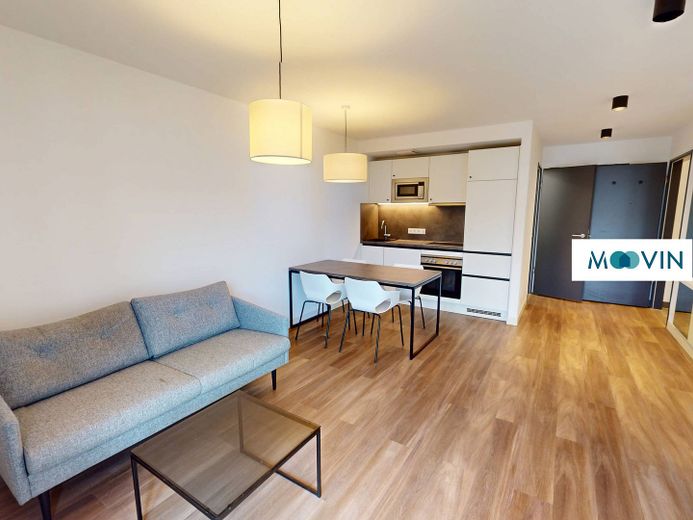 URBAN BASE: Vollmöbliertes 1-Zimmer-Apartment mit EBK, BALKON, ALL-IN-MIETE, UVM. im Wiesbadener Stadtzentrum – Wohn-/Essbereich