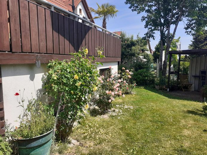 Gepflegte Doppelhaushälfte mit Einliegerwohnung in ruhiger Ortsrandlage von Ulm-Mähringen – Gartenansicht 3