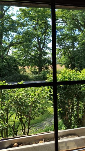 Doppelhaushälfte Einfamilienhaus, ländl. ruhige Lage doch zentral, gesamte Infrastruktur fußläufig – Blick Küchenfenster Straße