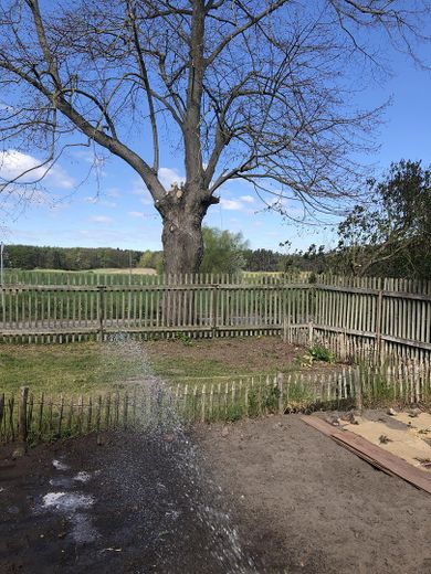 Eichenzaun zur Straße