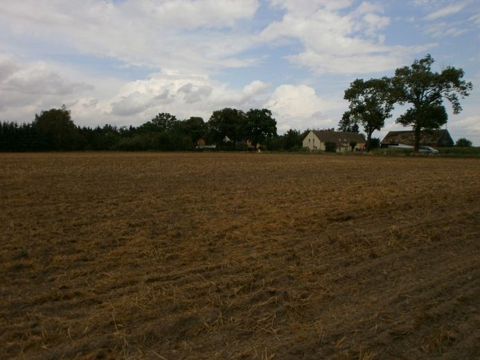 Wegen Auswanderung: 2.270m2 Bau-Grundstück bei Greifswald / Ostsee – Grundstücksansicht 4