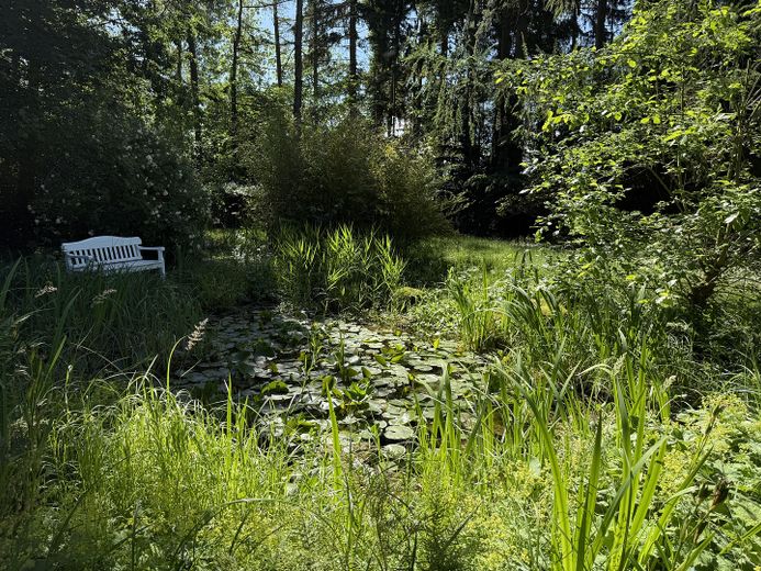 Senza provvigione: vita idilliaca sotto tetto in canna nel casa forestale non lontano dal Mar Baltico – Gartenteich