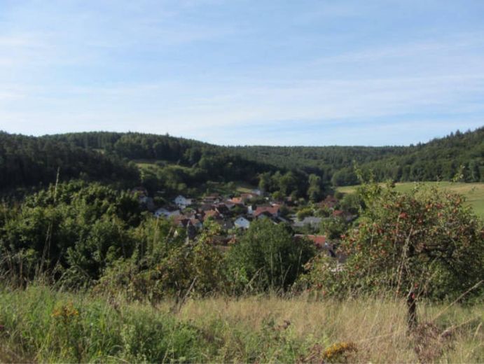 Verdelingsexecutie 21-10-26 -EENGEZINSWONING BOUWGROND-3398qm-OPDEELBAAR, rustige zuidwestelijke ligging, ontsloten – Blick nach Süd-Westen