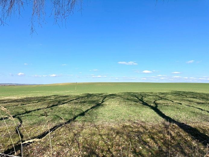 HORN IMMOBILIEN ++ Einfamilienhaus mit vielen Extras in Güterberg bei Strasburg, ruhige Lage! – Ausblick