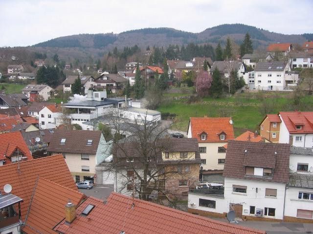 Schöne helle 3-Zimmer Wohnung in Schriesheim-Altenbach – Ausblick