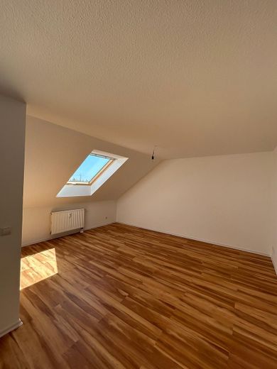Première occupation après rénovation de haute qualité - cuisine intégrée possible - charmant 3ZKB avec vue dégagée sur Bretten – Wohn- und Essbereich