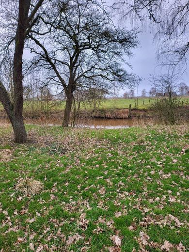 Letztes Wassergrundstück – Flussgrundstück