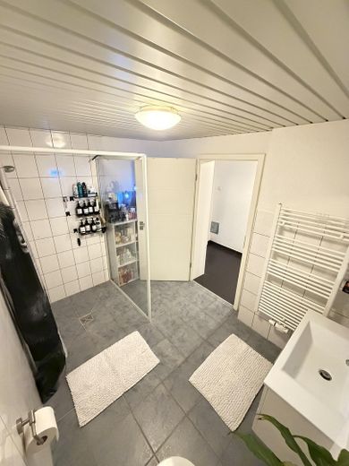 1–2 Familienhaus mit ca.300 m² Wfl.auf großzügigem 1.050-m²-Grundstück–ideal für Wohnen und Arbeiten – begehbare Dusche mit WC EG