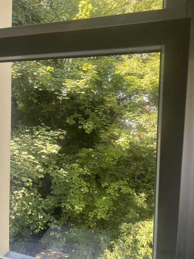 Helle WG-geeignete 3-Zimmer-Altbau-Wohnung in Köpenick – Blick Küche in den Garten