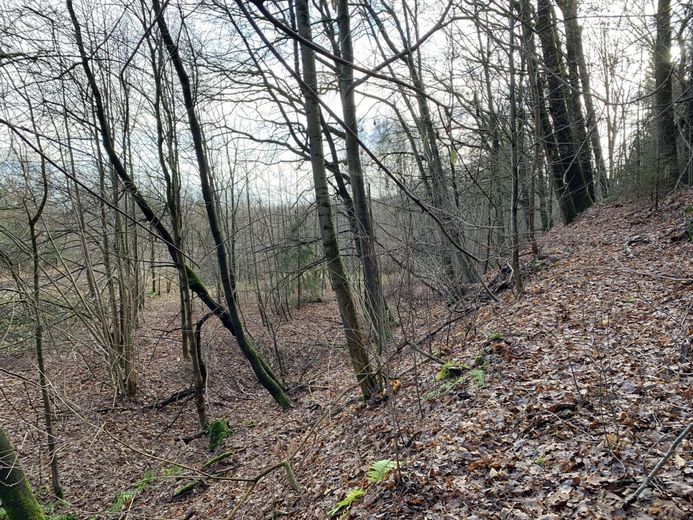 gewerbliches Grundstückspaket - 38222m² - am Bhf./Bahngleisen – 240105_Lengenfeld_GS_1263_24_25_26_024