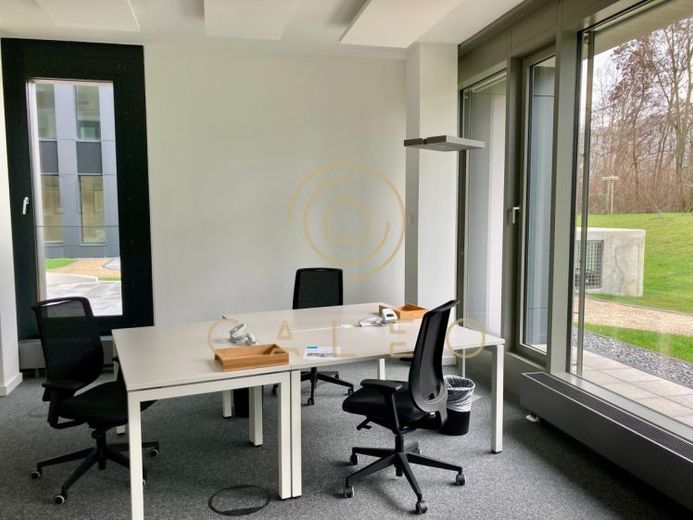 CALEO ¦ Gonzenheim ¦ flexibel + sofort bezugsfertig ¦ all inclusive ¦ PROVISIONSFREI – Foto 1