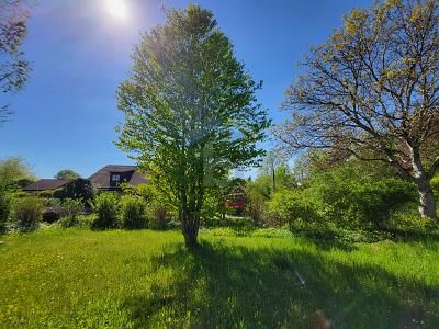 IHR SONNIGES PLÄTZCHEN IM 5 SEEN-LAND – 1756382747_5d02d8.jpg