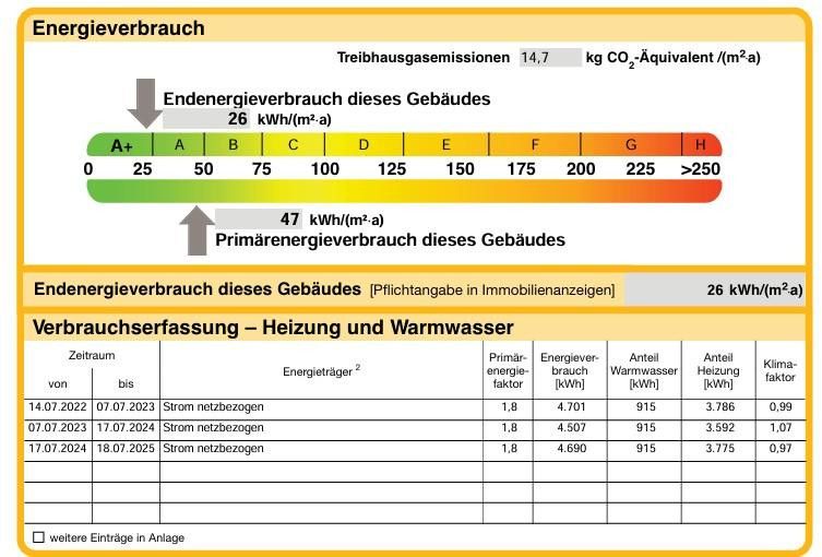 Ausschnitt Energieausweis