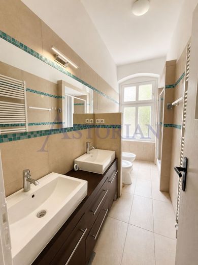 Bezugsfrei! Altbaucharme mit Gestaltungspotenzial - 2,5 Zimmer im Herzen von Friedrichshain – Badezimmer