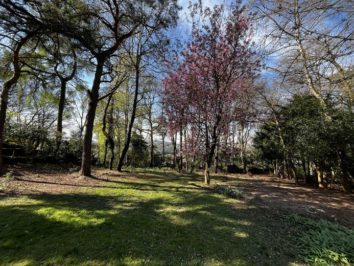 Einfamilienhaus nah Köln