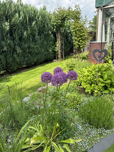 Garteninspirationen