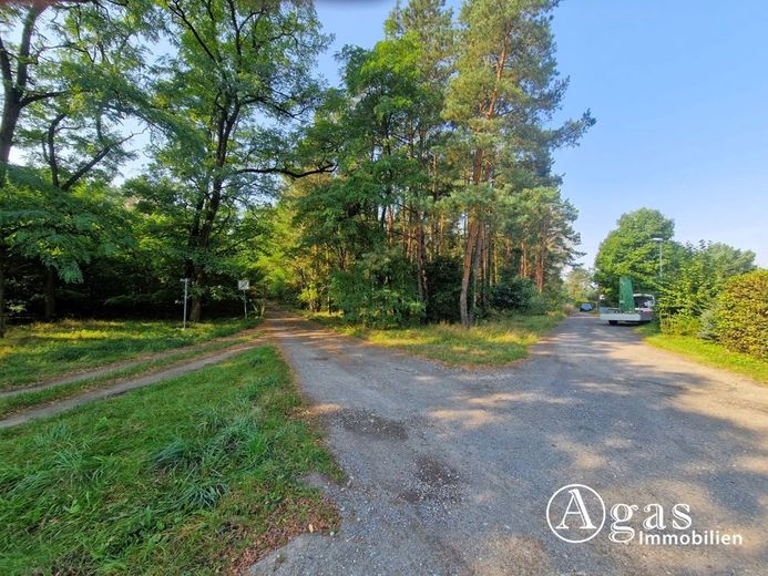 Bauträgerfreies Traumgrundstück mit ca. 1.000 m² in ruhiger Lage von Groß Lindow – Ortsrandlage