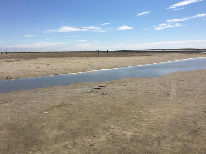 Strand in Westerhever