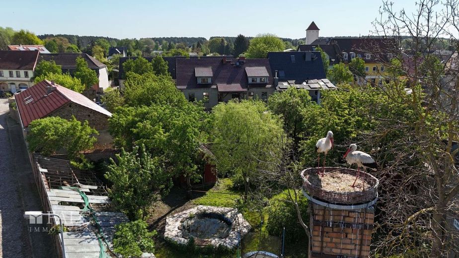 *Historisch und gemütlich mit viel Platz* - FALC Immobilien – Storchensicht