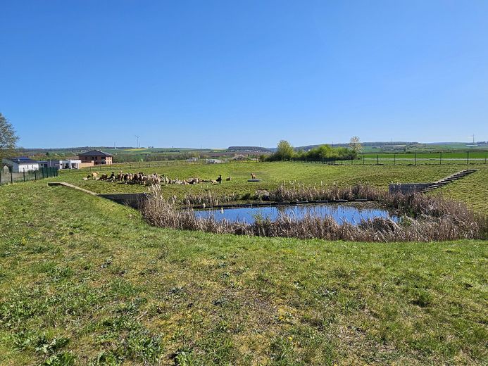 Baugrundstücke im Neubaugebiet Offenbergblick! Keine Provision! Kein Bauzwang! – Herrliche Lage im Süden
