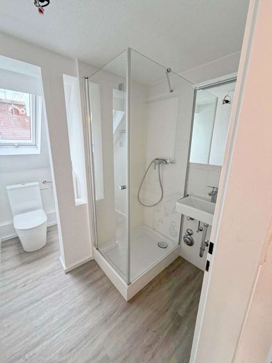 Erstbezug nach Sanierung 2,5-Zi-Whng im Dachgeschoss mit Gartenidylle – Neue Echtglas-Duschkabine
