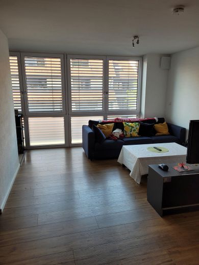 Wohn/Schlaf/Esszimmer