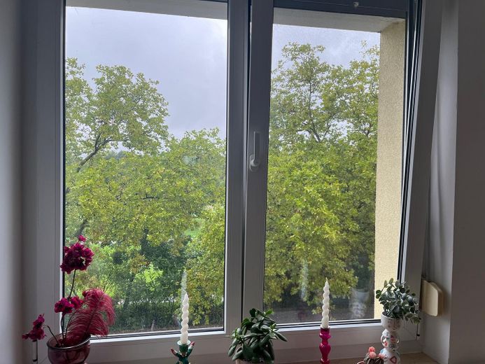 Blick aus Fenster 3 OG